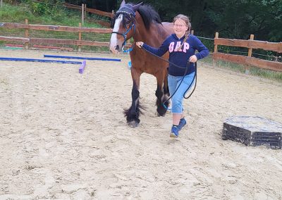 Ein Mädchen führt auf einem sandigen Reitplatz ein großes, braunes Pferd mit breiter weißer Blesse am Zügel, während sie fröhlich lächelnd auf den Betrachter zugeht. Im Hintergrund sind ein Holzzaun und dichte grüne Bäume zu sehen.