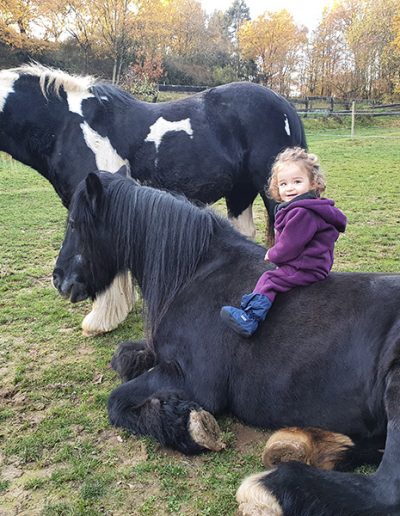 Ein kleines Kind in einer lila Jacke sitzt auf dem Rücken eines großen, schwarzen Pferdes, das entspannt auf einer grünen Koppel liegt. Direkt dahinter steht ein weiteres großes Pferd mit schwarz-weiß geschecktem Fell