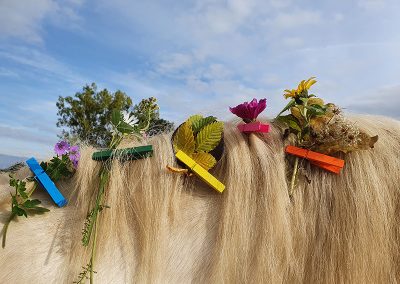 Helle Mähne eines Pferdes, die liebevoll mit bunten Wäscheklammern und frischen Sommerblumen und Gräsern dekoriert ist.