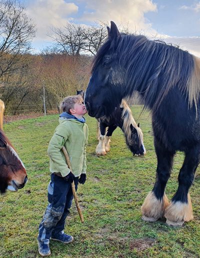 in kleiner Junge in einer hellgrünen Jacke steht auf einer Wiese und berührt liebevoll die Nase eines großen, dunklen Pferdes mit einer weißen Mähne. Er ist von mehreren Pferden umgeben, die im sanften Abendlicht grasen.
