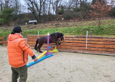 Ein Mann in einer leuchtend orangefarbenen Jacke steht in einem Sandplatz und beobachtet, wie ein dunkles Pony gerade über ein kleines, buntes Hindernis springt. Im Hintergrund sind eine Holzbande, ein grüner Hügel und Bäume zu sehen.