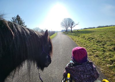 Ein kleines Kind mit einer lila Mütze sitzt in einem Rollstuhl und blickt auf einen dunklen Ponykopf, der sich von links nähert. Die Szene zeigt die beiden auf einem asphaltierten Weg, der durch grüne Felder führt, mit strahlendem Sonnenschein von oben.