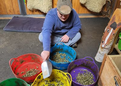 Ein Mann mit einer braunen Schiebermütze sitzt in einem Stall auf dem Boden und verteilt Pferdefutter mit einer weißen Schaufel in fünf großen, bunten Eimern. Im Hintergrund hängen zwei helle, flauschige Lammfelle an einer Holzwand.