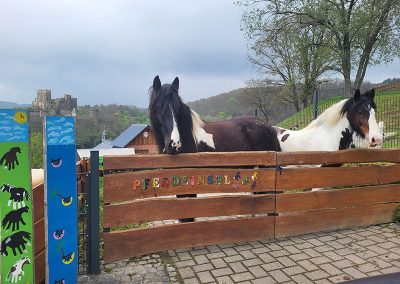 Der Eingang der Pferdeinsel mit Nanuk und Willi