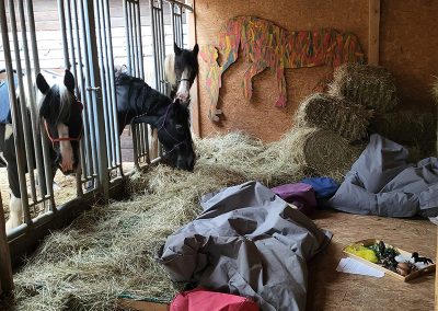 Drei Pferde im Stall