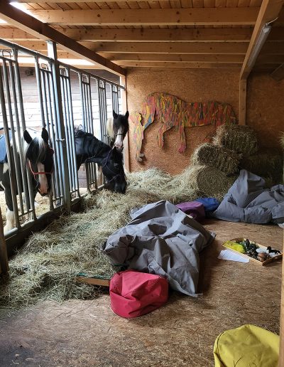 Drei Pferde im Stall