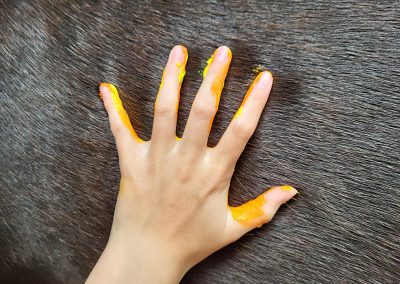 Das Bild zeigt eine Hand die gelb bemalt ist für einen künstlerischen Handabdruck auf dem dunklen Fell eines Pferdes.