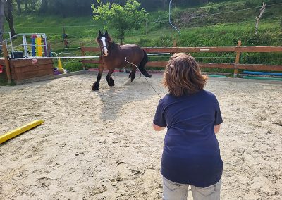 Eine Frau steht mit dem Rücken zum Betrachter in einem sandigen Reitplatz und hält eine lange, dünne Gerte. Sie blickt auf ein großes, braunes Pferd mit einer breiten weißen Blesse, das in leichtem Trab oder einer Gangart vor ihr steht. Im Hintergrund sind ein Holzzaun, grüne Vegetation und ein bewaldeter Hang zu sehen.
