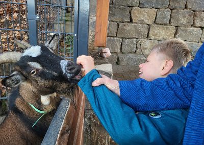 Ein lächelnder Junge in einem blauen Oberteil füttert eine braun-schwarze Ziege mit Hörnern, die ihren Kopf durch einen Zaun steckt. Die Szene spielt im Freien vor einer alten Steinmauer.