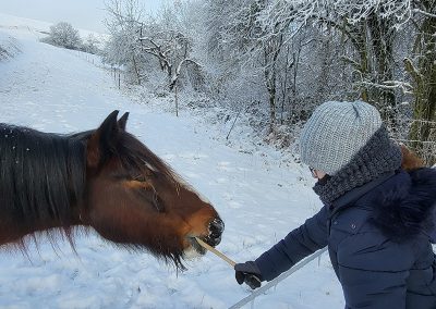 Eine Person in einer dicken, blauen Winterjacke füttert ein braunes Pferd mit einem Stock oder Ast in einer tief verschneiten Landschaft.