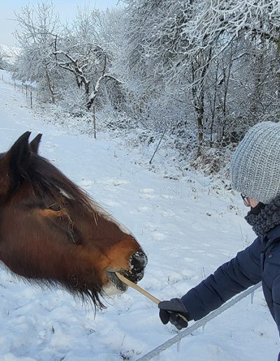 Eine Person in einer dicken, blauen Winterjacke füttert ein braunes Pferd mit einem Stock oder Ast in einer tief verschneiten Landschaft.