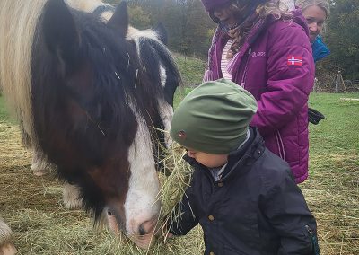 Zwei Kinder füttern ein Pferd