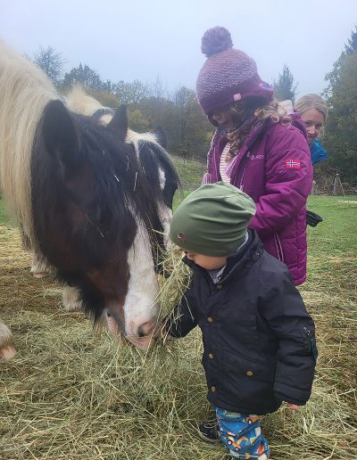 Zwei Kinder füttern ein Pferd