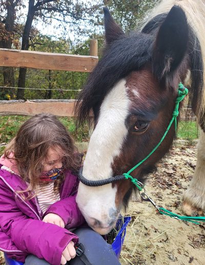 Ein Mädchen in einer lila Jacke sitzt in einem Behälter voller Heu und füttert ein braun-weißes Pferd, das einen Halfter trägt.