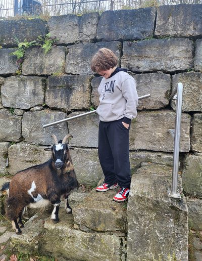 Ein Jugendlicher in einem hellgrauen Kapuzenpullover steht auf einem Felsenabsatz neben einer großen braun-weißen Ziege mit Hörnern.