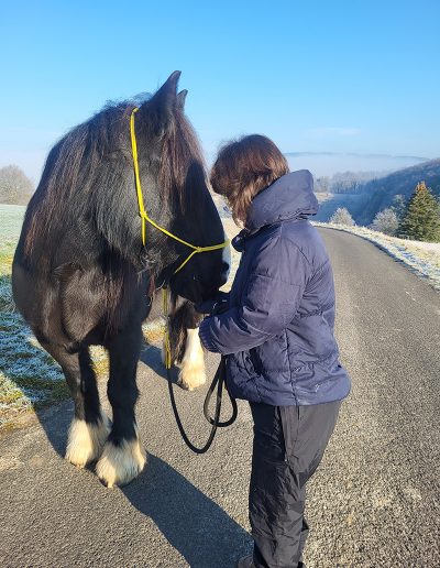 Eine Person in einer dicken, dunkelblauen Jacke steht auf einer Asphaltstraße neben einem großen, fast schwarzen Pferd mit gelbem Halfter.