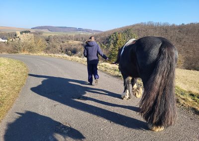 Eine Person in einer dunklen Jacke führt von hinten gesehen ein großes, dunkelbraun-weißes Pferd mit langer Mähne und Schweif auf einem sonnigen Asphaltweg entlang. Im Hintergrund erstreckt sich eine hügelige Landschaft mit Wald, Feldern und einer historischen Burg.