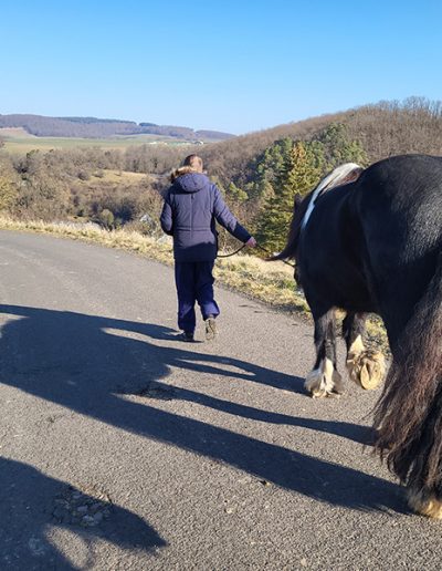Eine Person in einer dunklen Jacke führt von hinten gesehen ein großes, dunkelbraun-weißes Pferd mit langer Mähne und Schweif auf einem sonnigen Asphaltweg entlang. Im Hintergrund erstreckt sich eine hügelige Landschaft mit Wald, Feldern und einer historischen Burg.