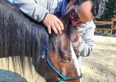 Ein Mann in einem grauen Kapuzenpullover beugt sich über den Hals eines braunen Pferdes und hält vorsichtig dessen rechtes Ohr.