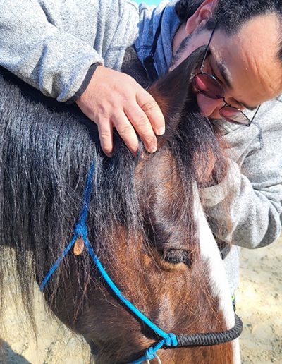 Ein Mann in einem grauen Kapuzenpullover beugt sich über den Hals eines braunen Pferdes und hält vorsichtig dessen rechtes Ohr.