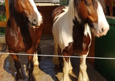 Navajo und Nscho-Tschi