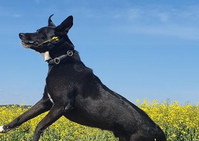 Sam